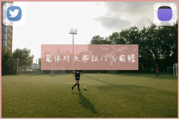 葡体对决弗拉门戈前瞻