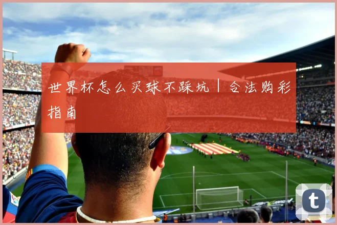 世界杯怎么买球不踩坑｜合法购彩指南