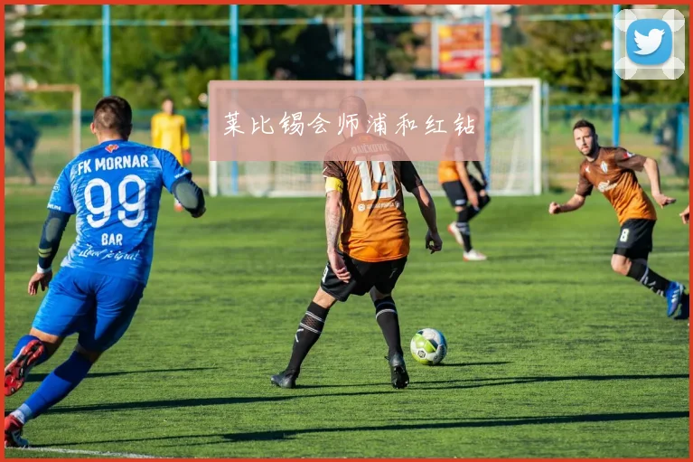 莱比锡会师浦和红钻