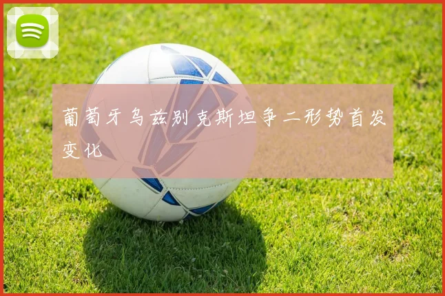 葡萄牙乌兹别克斯坦争二形势首发变化
