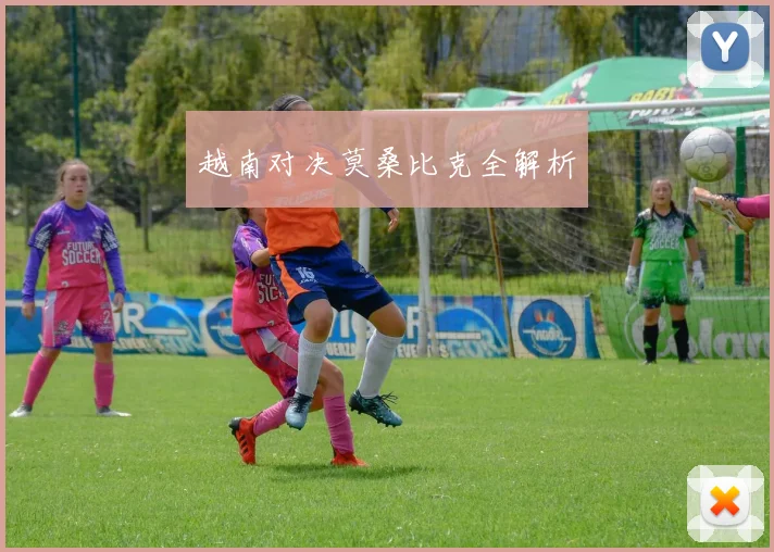 越南对决莫桑比克全解析