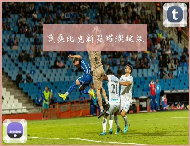 莫桑比克新星璀璨绽放