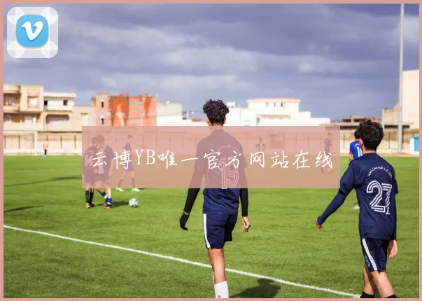 云博YB唯一官方网站在线