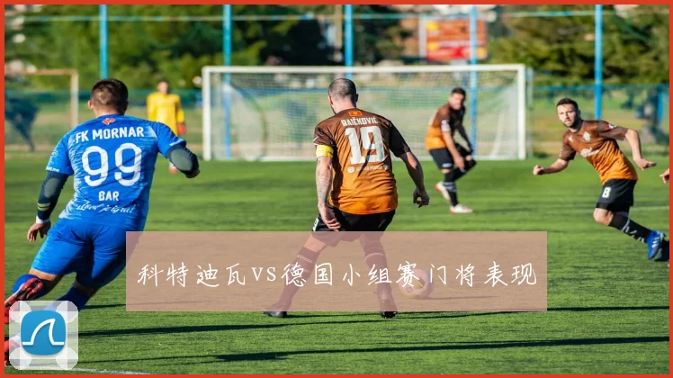 科特迪瓦vs德国小组赛门将表现