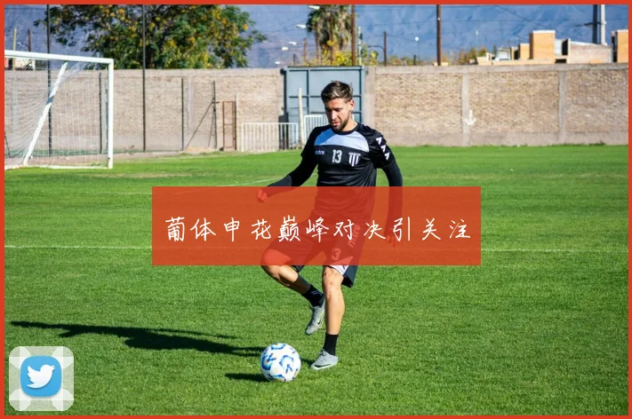 葡体申花巅峰对决引关注