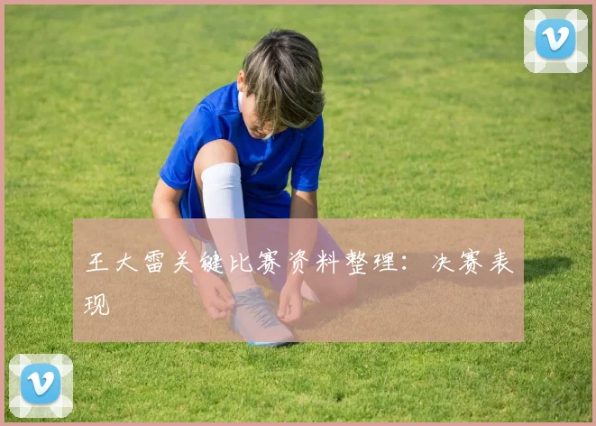 王大雷关键比赛资料整理：决赛表现