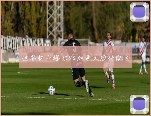 世界杯卡塔尔vs加拿大短传配合