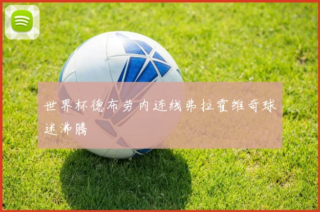 世界杯德布劳内连线弗拉霍维奇球迷沸腾